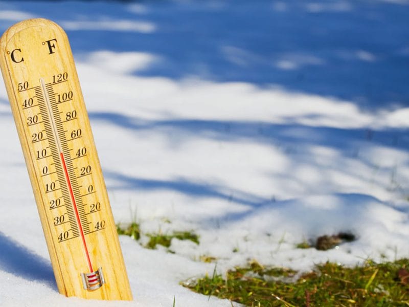 “Weather” You’re Buying or Selling, the Forecast is Fine in the Banana Belt