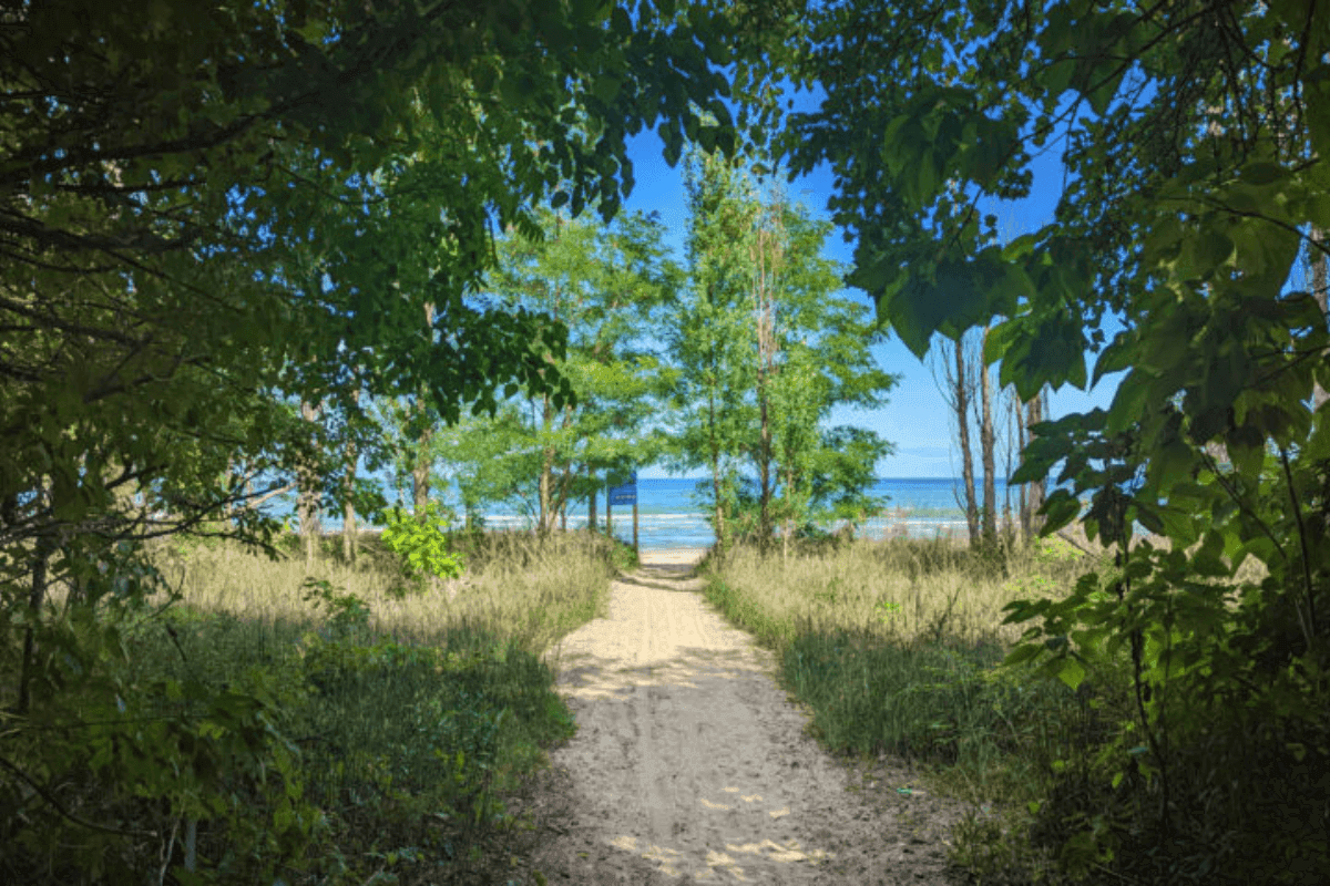 Rondeau Ontario Real Estate Market